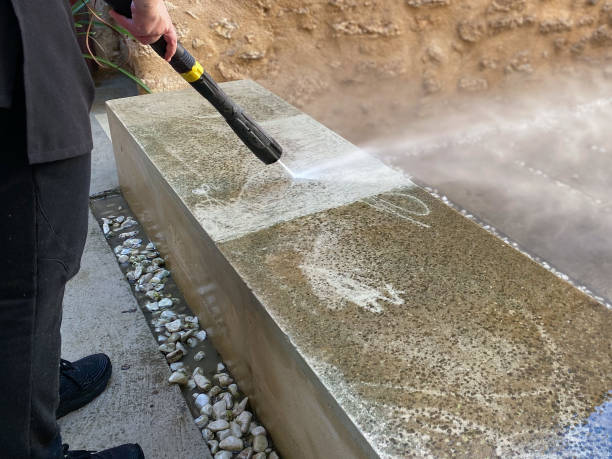 Best Roof Pressure Washing  in Maple Plain, MN