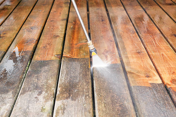 Best Deck Cleaning Services  in Maple Plain, MN