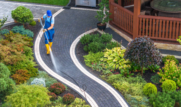 Best Roof Power Washing Services  in Maple Plain, MN