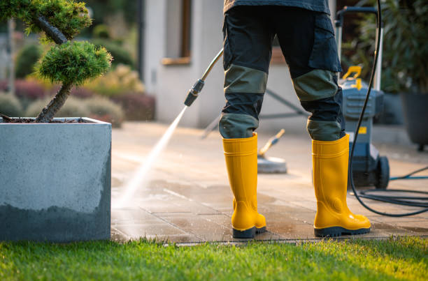 Best Residential Pressure Washing Services  in Maple Plain, MN